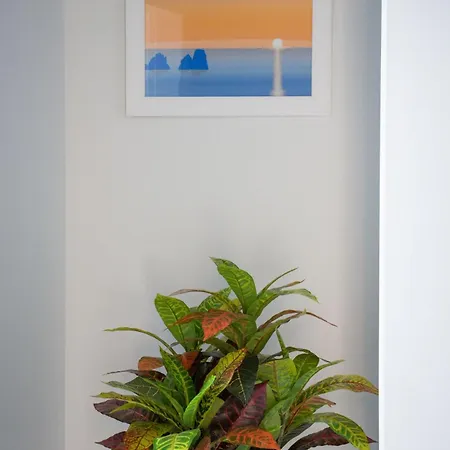 Wanderlust Aria Di Mare