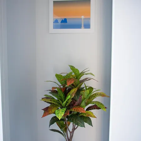 Appartement Wanderlust Aria Di Mare *