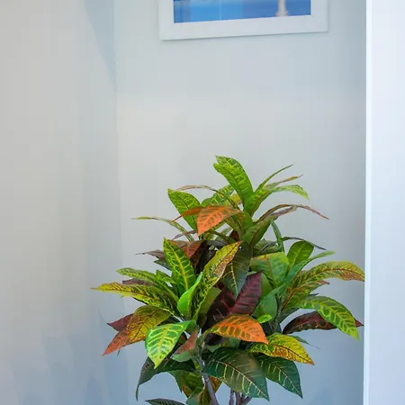 Wanderlust Aria Di Mare * Naples